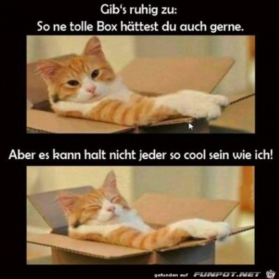 Tolle-Box.jpg von Alessia