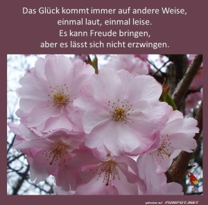 Das-Glück-kommt.jpg auf www.funpot.net