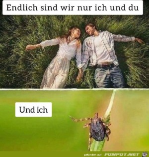 Zecken-sind-auch-berall.jpg auf www.funpot.net