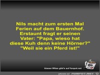 Nils macht zum ersten Mal Ferien auf dem Bauernhof