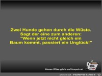 Zwei Hunde gehen durch die W�ste