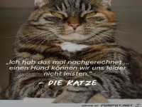 Die Katze hat das durchgerechnet