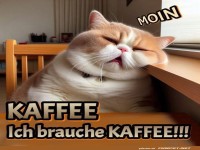 Guten Morgen