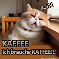 Guten-Morgen.jpg auf www.funpot.net