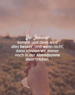 Sommerabend-mit-Wein-genieen.jpg auf www.funpot.net