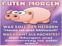 Lustiger Morgen-Gru mit einem Schwein