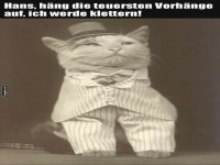 Der feine Kater mit gro�en Pl�nen