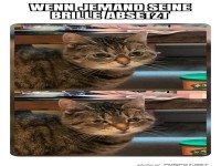 Katzenblick: Glasklar vs. Sehschw�che!