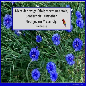 Nicht-der-Erfolg.jpg von Sirene