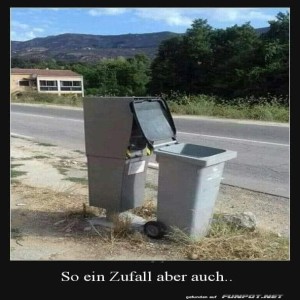 Bl�der-Zufall.jpg von Goldlocke