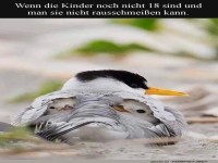 Nesthocker Deluxe: Eltern im Dauereinsatz