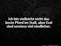 Die Weisheit des Esels