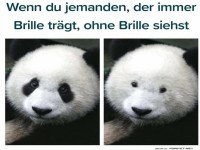 Panda Illusion: Der Brillenzauber!