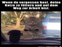 F�ttern vergessen