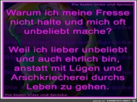 Warum ich meine Fresse nicht halte