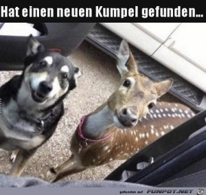 Neuer-Kumpel.jpg auf www.funpot.net