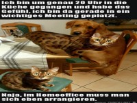 Wichtiges Meeting gest�rt