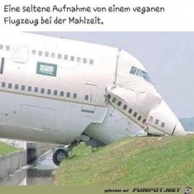 Flugzeug-isst.jpg von Luka