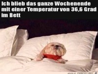 H�rt sich nach einem gem�tlichen Wochenende an