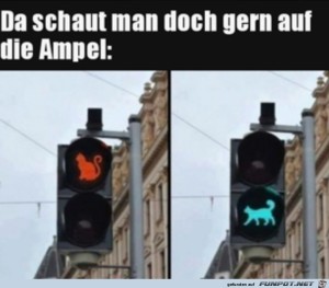 Ampelkatzen.jpg auf www.funpot.net