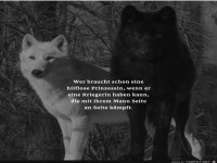 Wer braucht schon eine hilflose Prinzessin