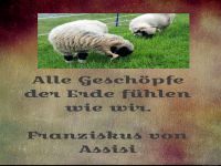 alle gesch�pfe der erde