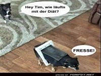 Die Diät läuft wohl nicht so gut