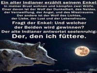 Weisheit der zwei Wlfe