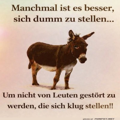 Eselweisheit:-Klug-durch-Dummes-verstellen!.jpg von Gregor