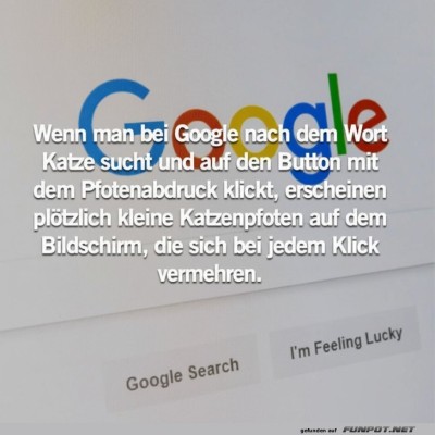 Katzen-Pf&ouml;tchen-Chaos-auf-Google!.jpg von Lennox44