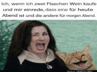 Wein-Genius mit katztastischem Plan