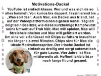 Motivations-Dackel