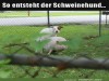 weiter