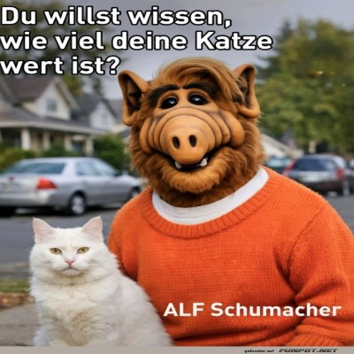 Katzentagebuch:-ALFs-ungew&ouml;hnliche-Sch&auml;tzung.jpg von Brandon