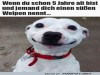 weiter