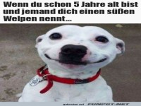Das l�uft runter wie �l