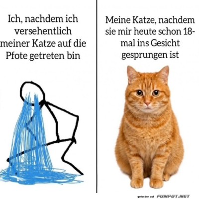 Katzenregel-Nr.-1:-Sie-verzeihen-nichts!.jpg von SexOnTheBeach