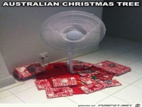der australische Weihnachtsbaum