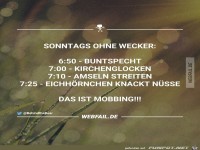 Sonntags ohne Wecker...