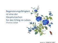 Begeisterungsfaehigkeit