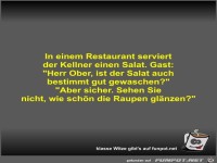 In einem Restaurant serviert der Kellner einen Salat