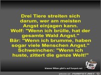 Drei Tiere streiten sich darum