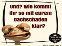 Und, wie kommt ihr so mit eurem Dachschaden klar ?