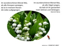 Im wunderschoenen Mai