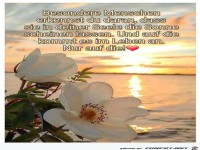 Besondere Menschen kennst du daran