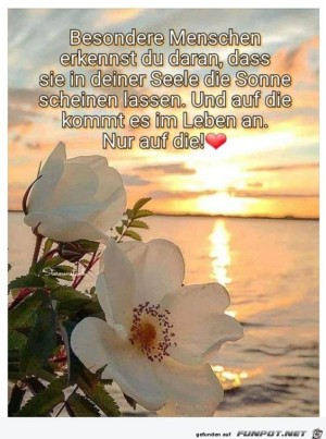 Besondere-Menschen-kennst-du-daran.jpg auf www.funpot.net