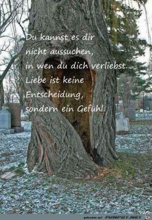 Du-kannst-es-dir-nicht-aussuchen.jpg auf www.funpot.net