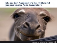 Ich an der Passkontrolle