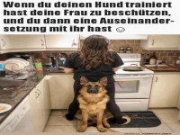 Hund als Besch�tzer in der K�che