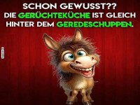 Lustiger Esel mit witzigem Spruch